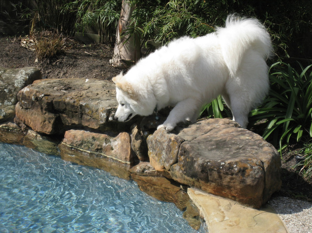 The first sight of a pool