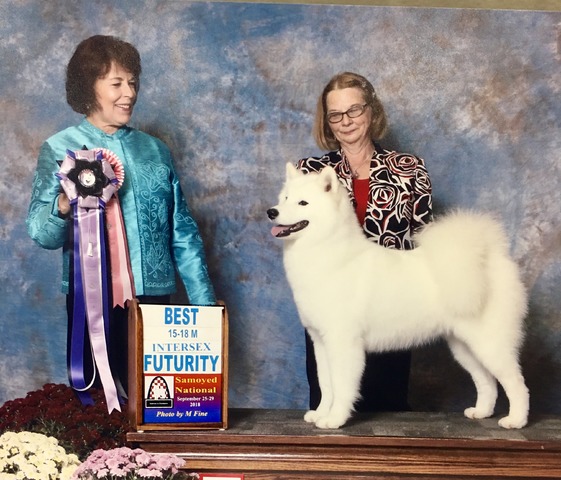 Samoyed Club of America‘s Natl Specialty