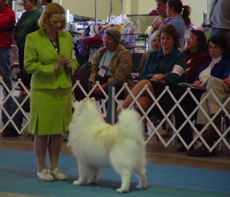 2005 Natls @ 12 yo - AOM from Veterans Class