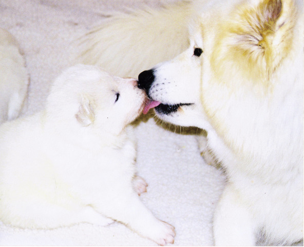 Ali with her 3 week old baby