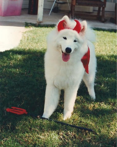 Dani as Devil - One of her Halloween Costumes