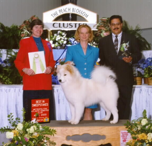 Best in Sweepstakes - Atlanta Samoyed Club