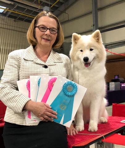 2- Owner Handled Best in Show’s