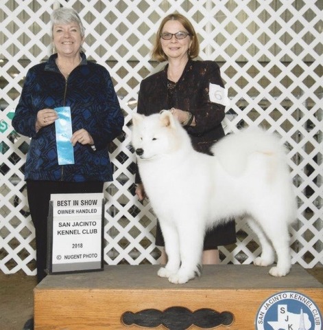 Owner Handled Best in Show