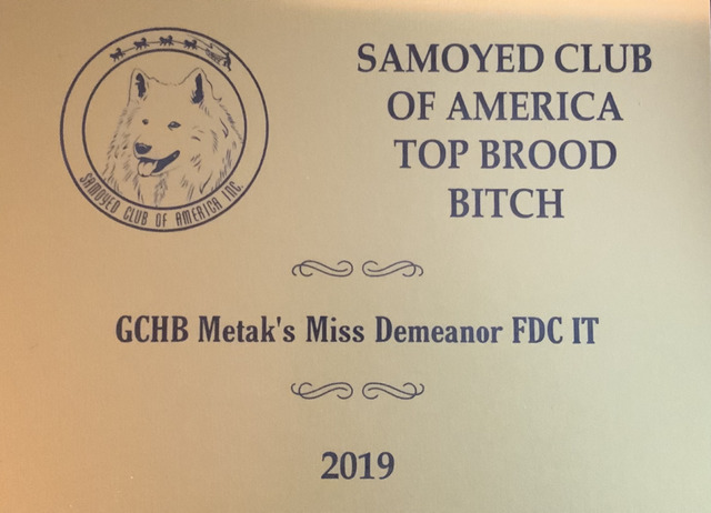 2019 Top Brood Bitch