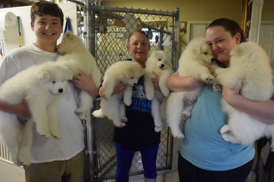 Shari, Bailey & Blake with Litter